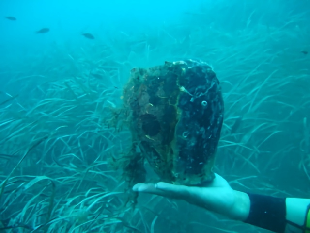  arqueología submarina 